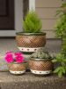 Jade Planters Trio