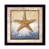 "Starfish" By Ed Wargo; Printed Wall Art; Ready To Hang Framed Poster; Black Frame