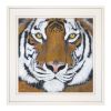 "Tiger Gaze" by Britt Hallowell; Ready to Hang Framed Print; White Frame