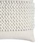 20 x 20 Square Cotton Accent Throw Pillow; Textured Dotted Fabric Details; White