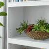 Framed 5-Shelf Bookcase, True Black Oak