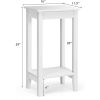 Set of 2 Versatile 2-Tier End Tables with Storage Shelf